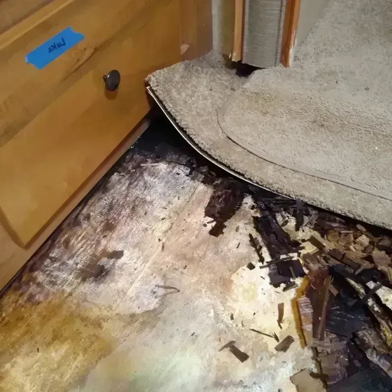 Best Wood Floor Water Damage Service in Woodinville, WA